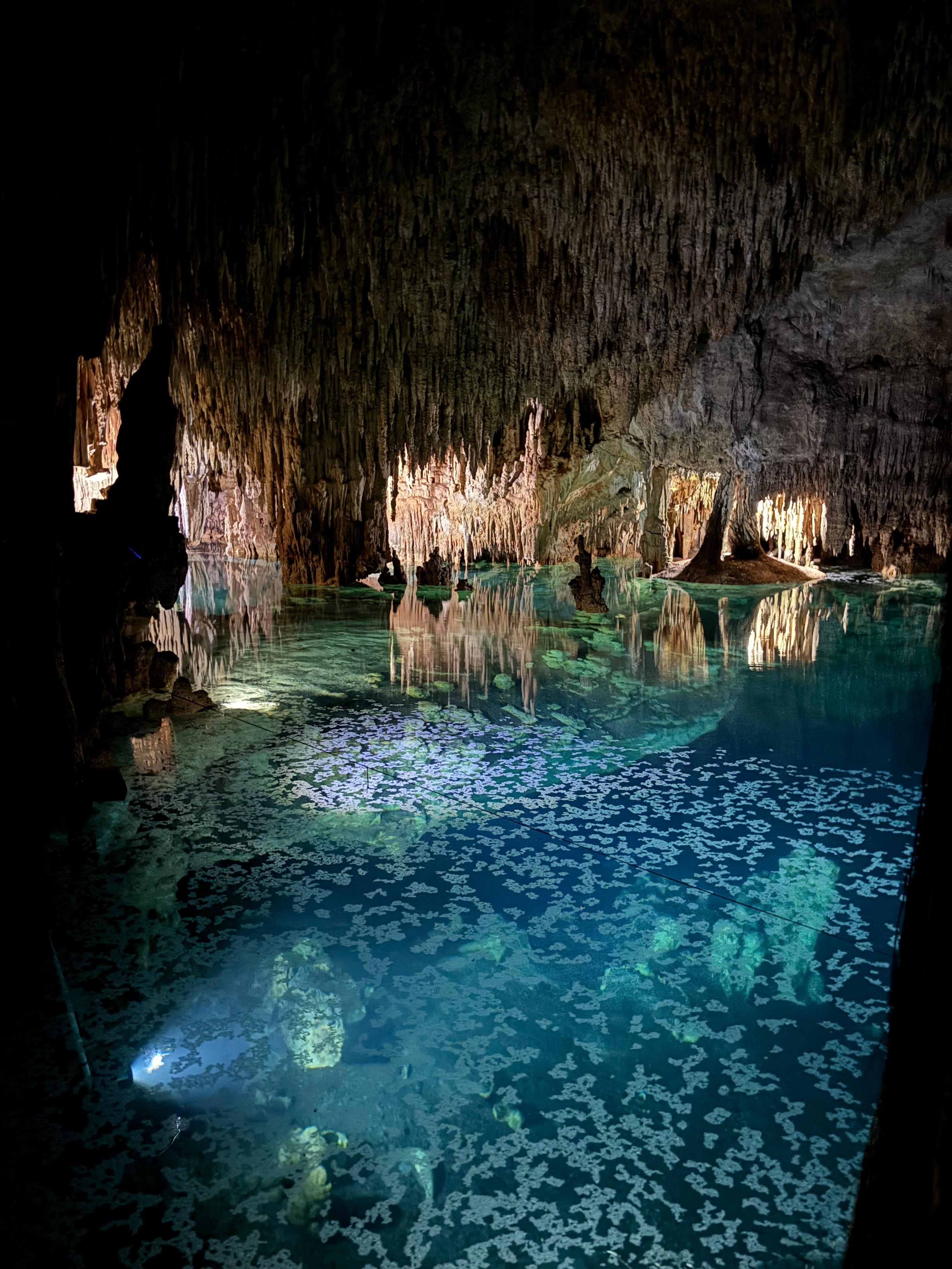 Cenote excursion 