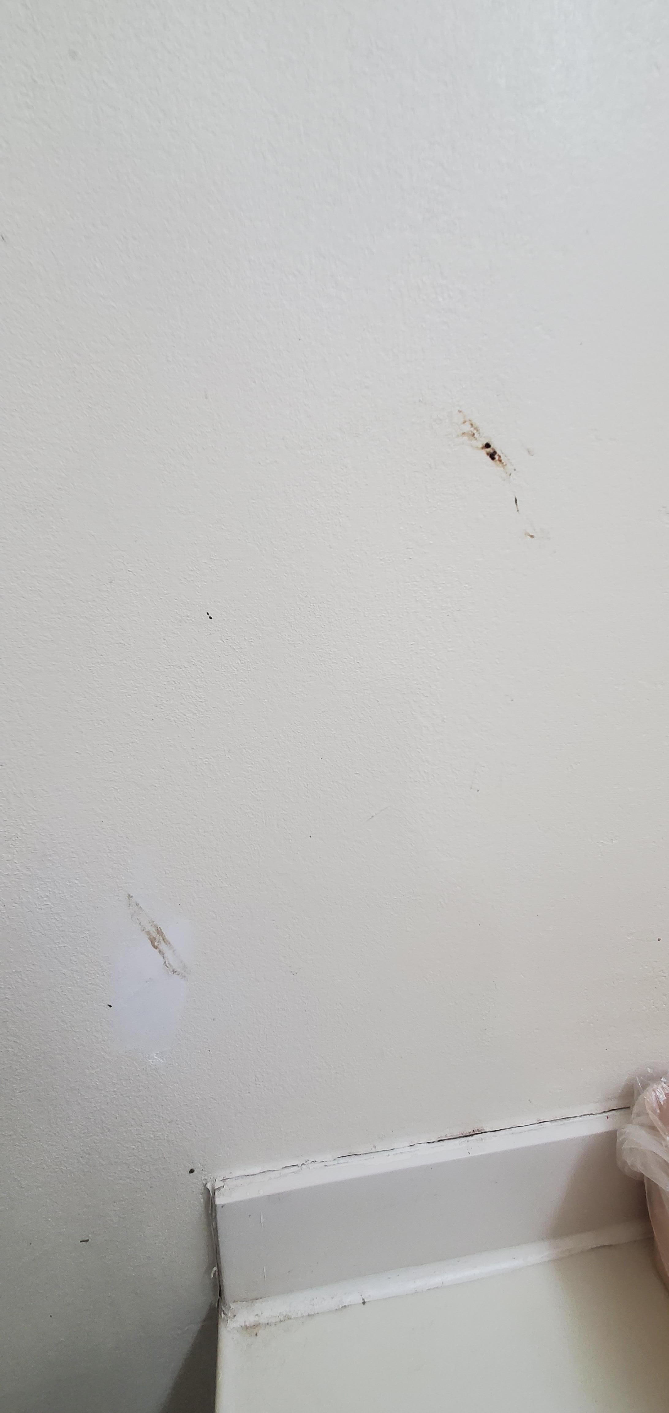 Mystery brown smudges. 