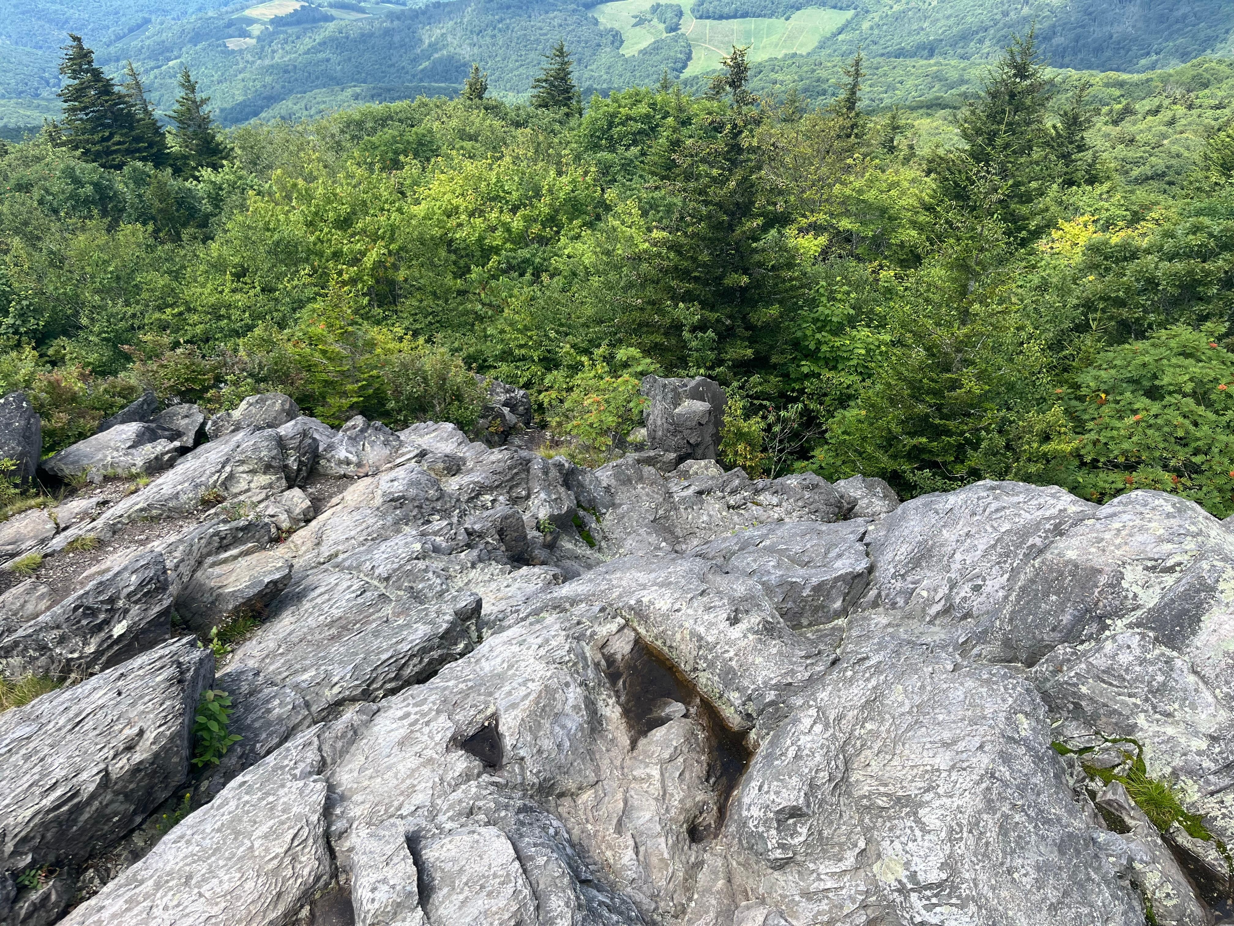 Pinnacles hike in Grayson