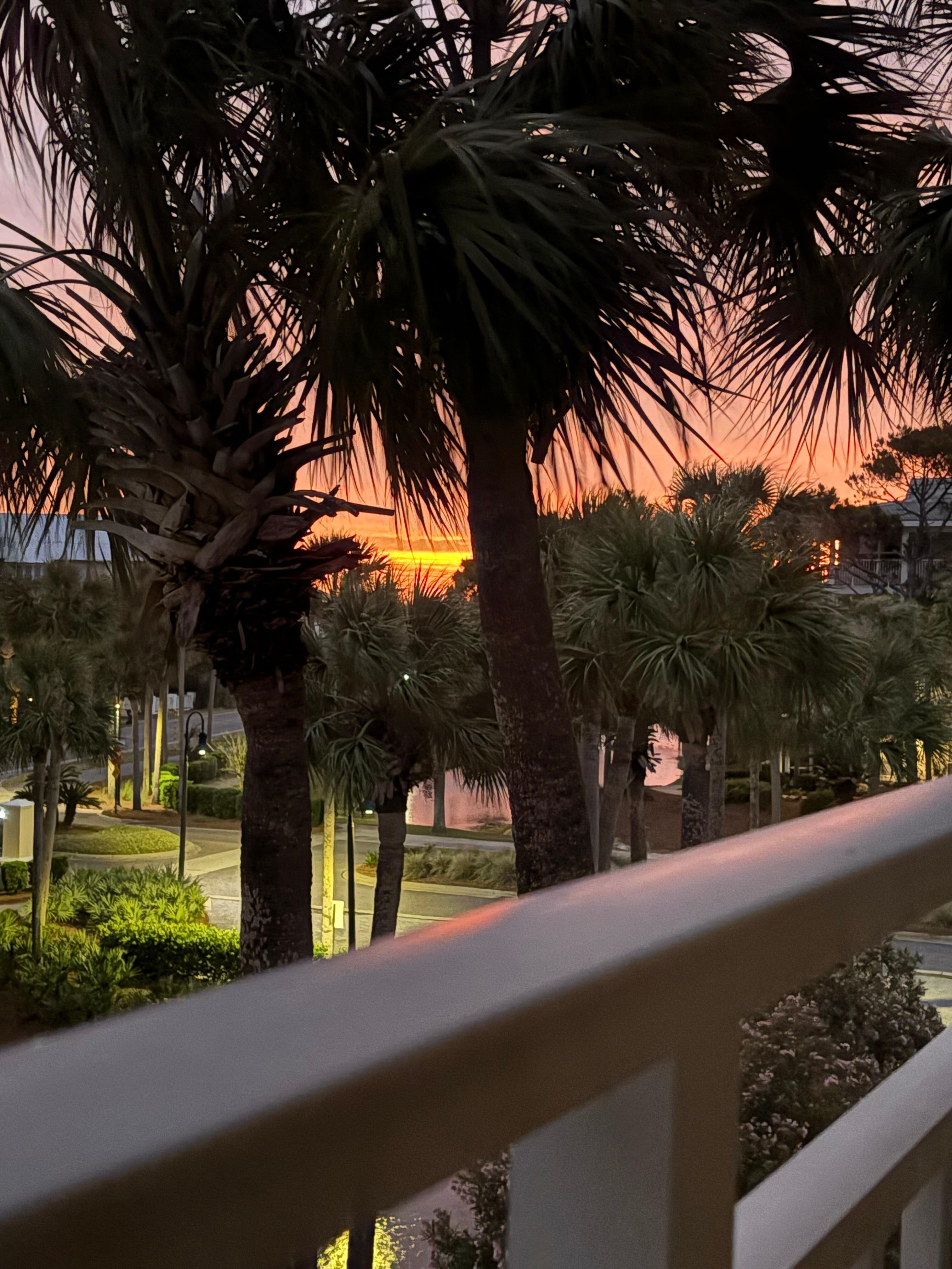 Beautiful sunset 