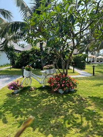 Stunning gardens