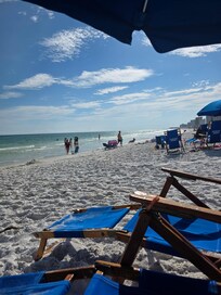 Beach Pic from Rental Chairs and Umbrella