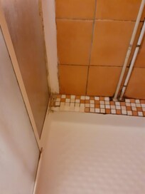 Moisissures dans la douche