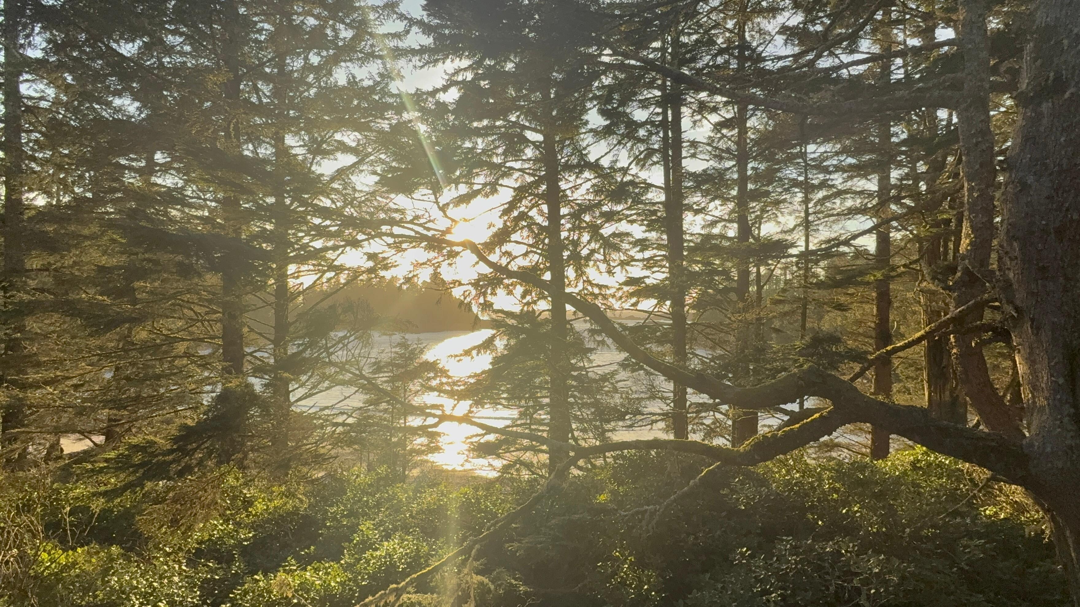 View from the main floor patio