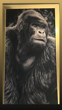 Cuadros con texturas y grandes hermosos