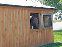 "Neigh"bor