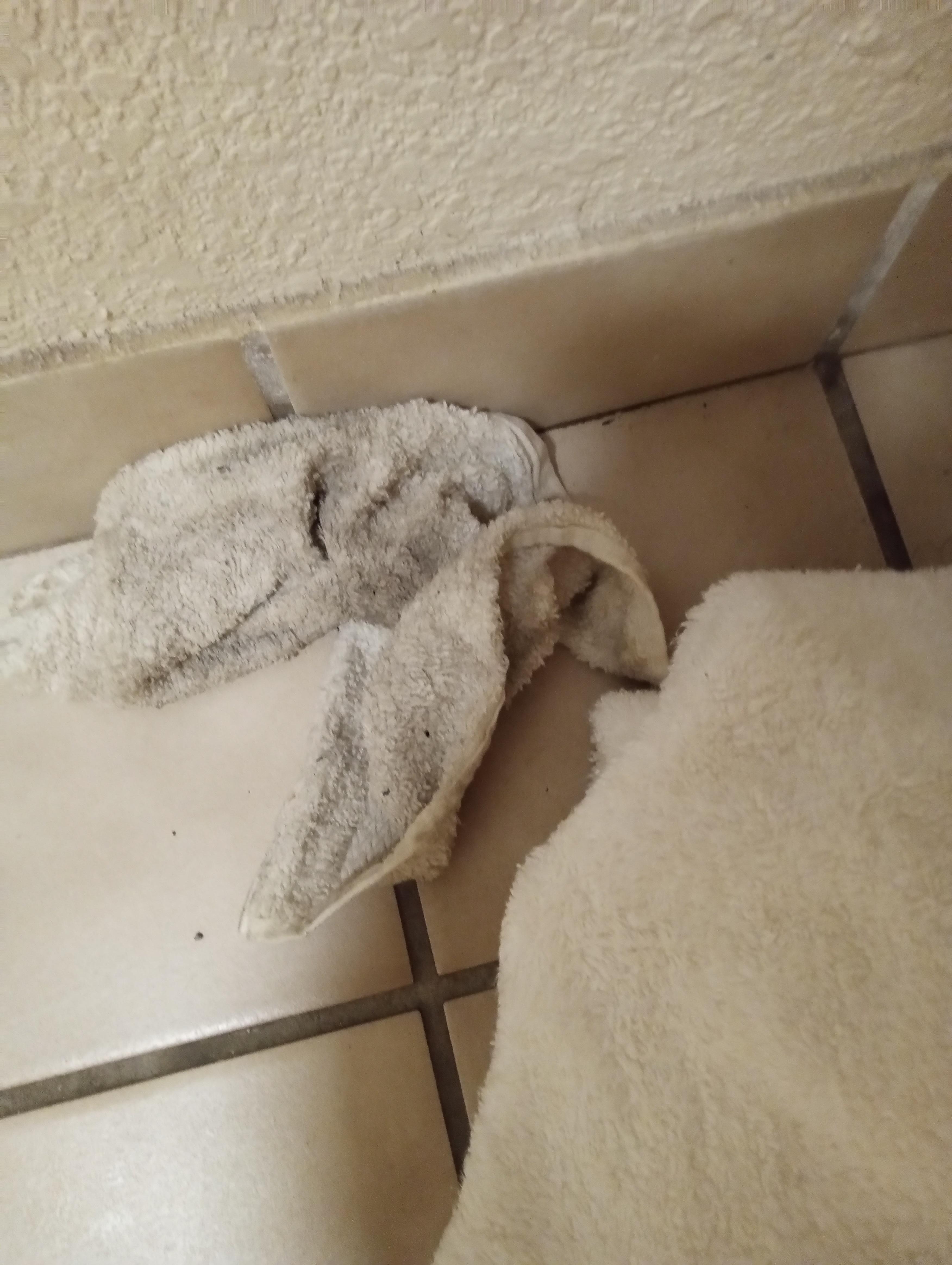 After I cleaned my feet before getting in bed