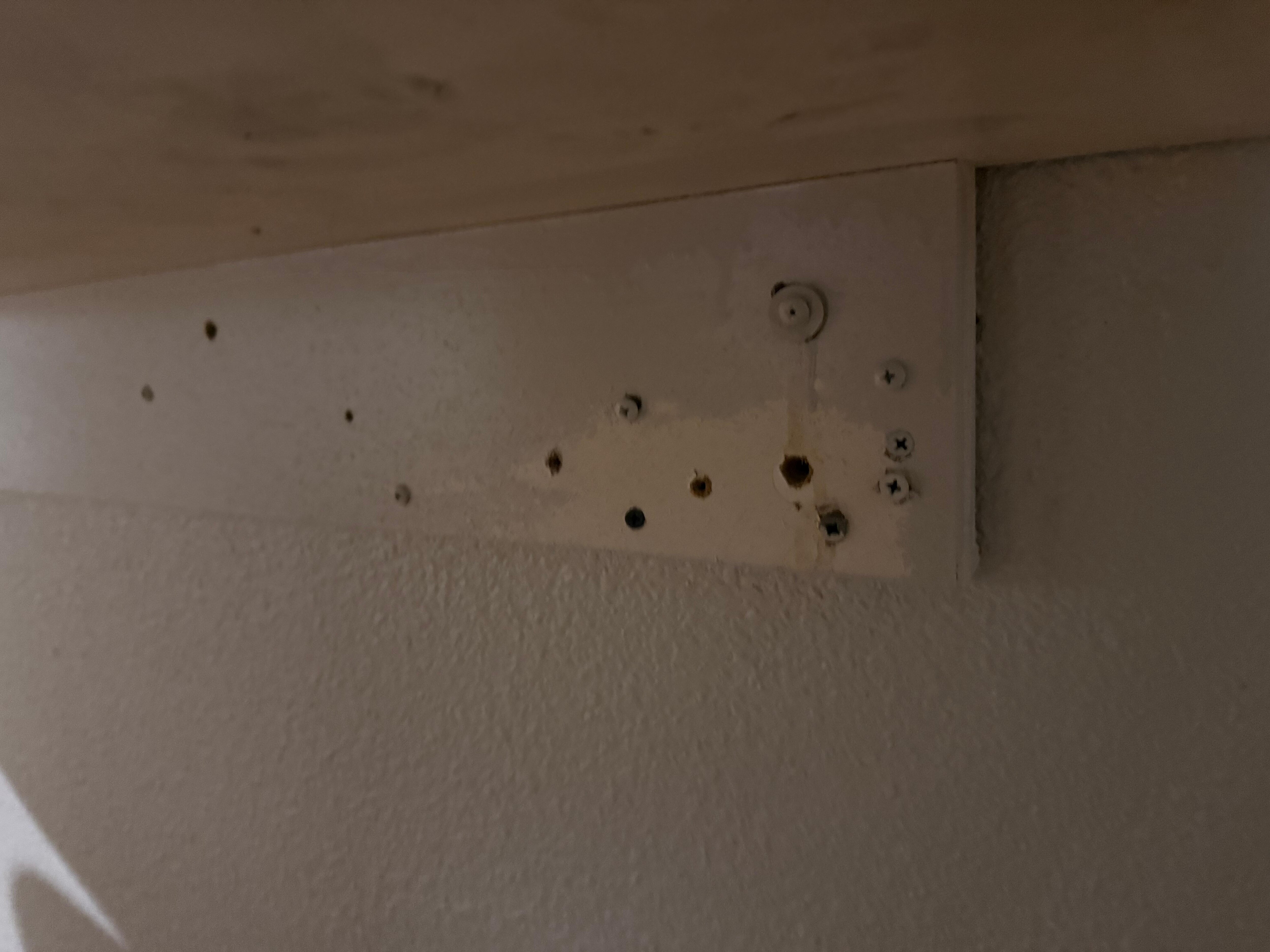 This piece of plywood look like it was part of the half table, but it was screwed on to the wall, but it had like a lot of drywall screws, but when I look closely, there was cameras and there’s two cameras that I saw