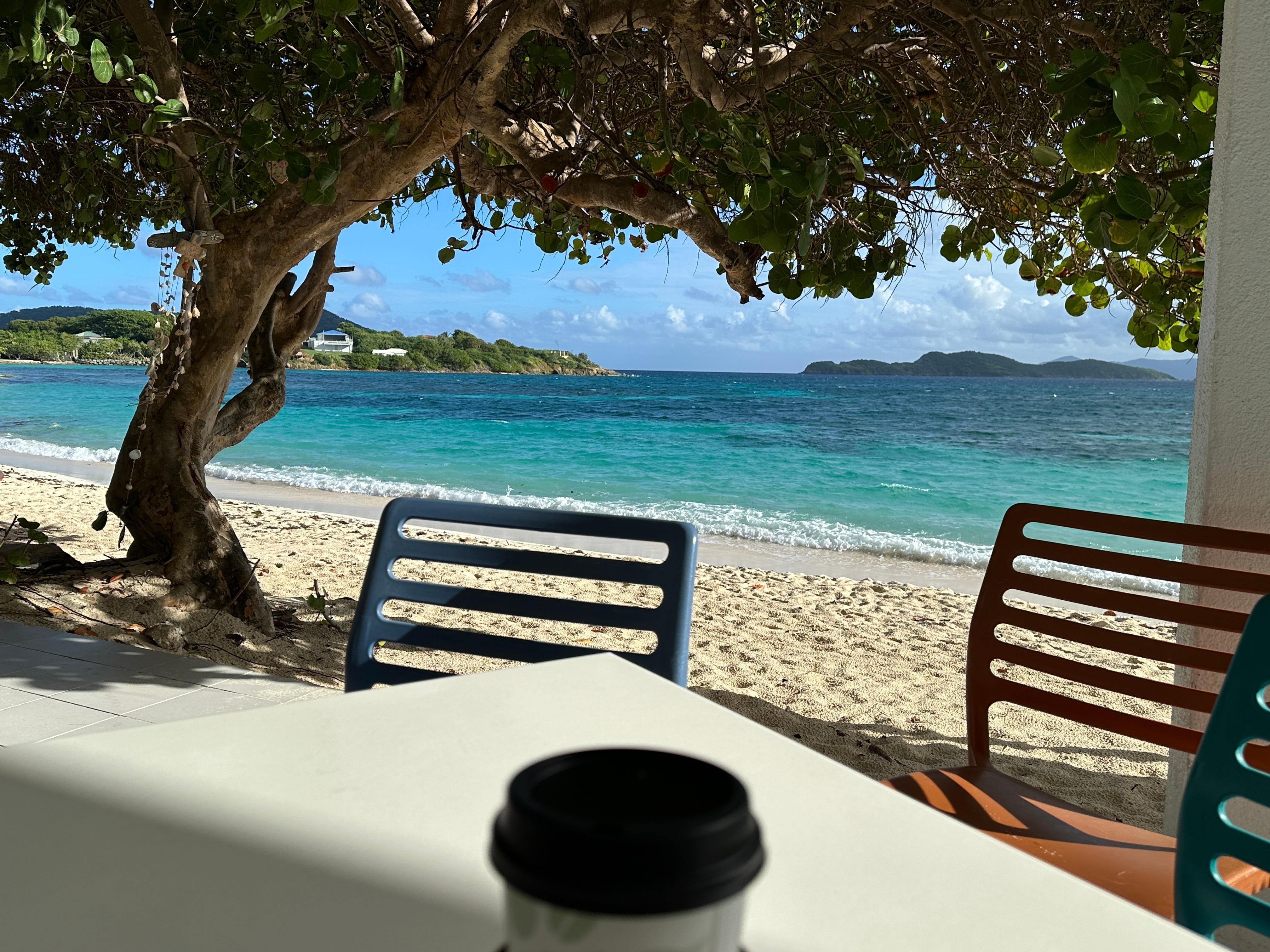 Morning coffee views from the coffee shop on the property. 