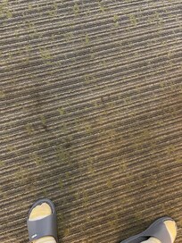 Old carpet from when it was built - not steam cleaned