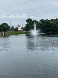 Nice place to go for a walk.