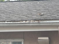 Gutters full of debris