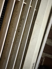 Mold