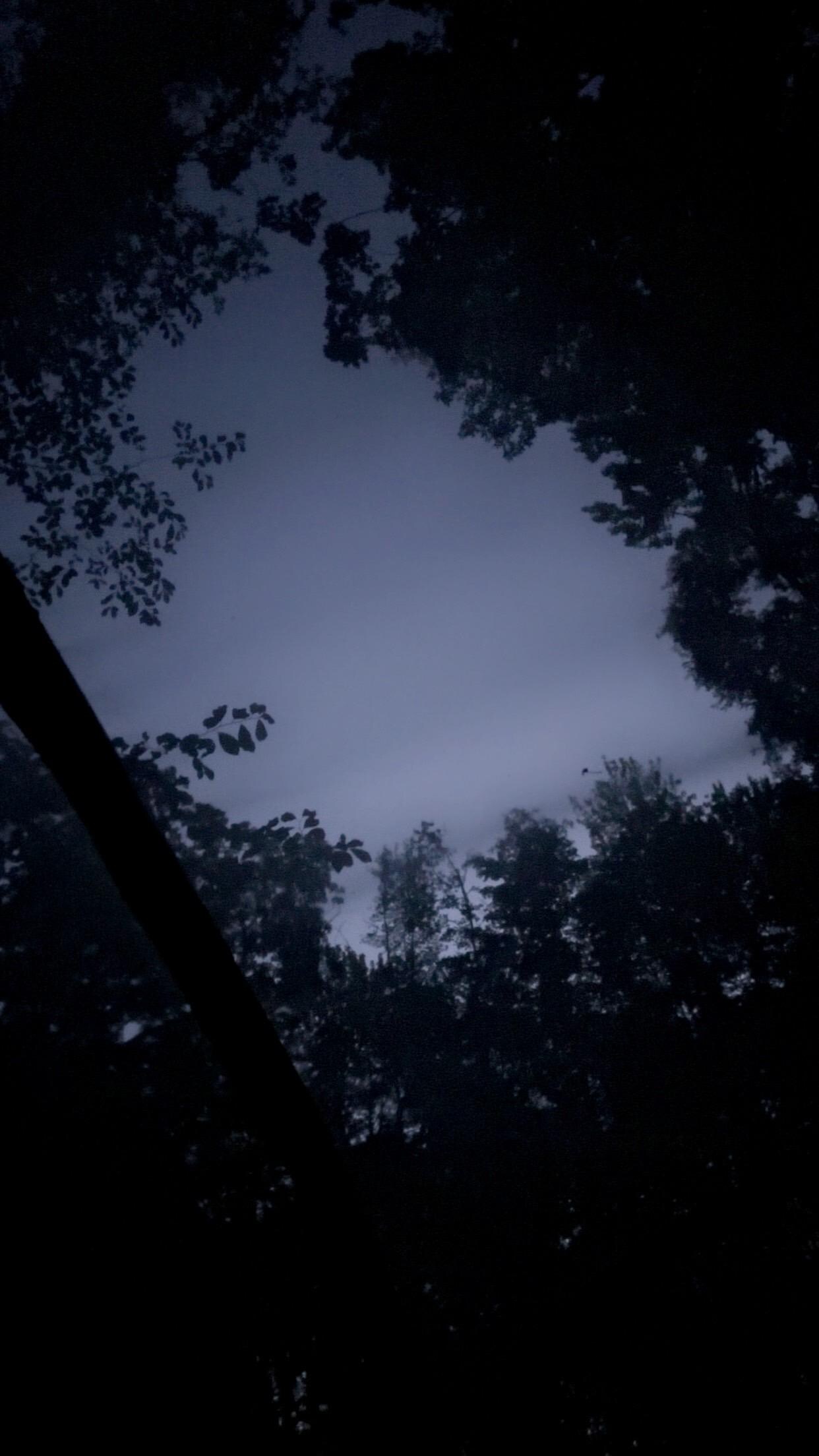 From inside the tent