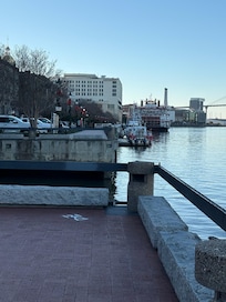 Back yard on the River