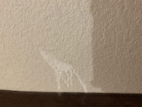 Sloppy paint job here and there