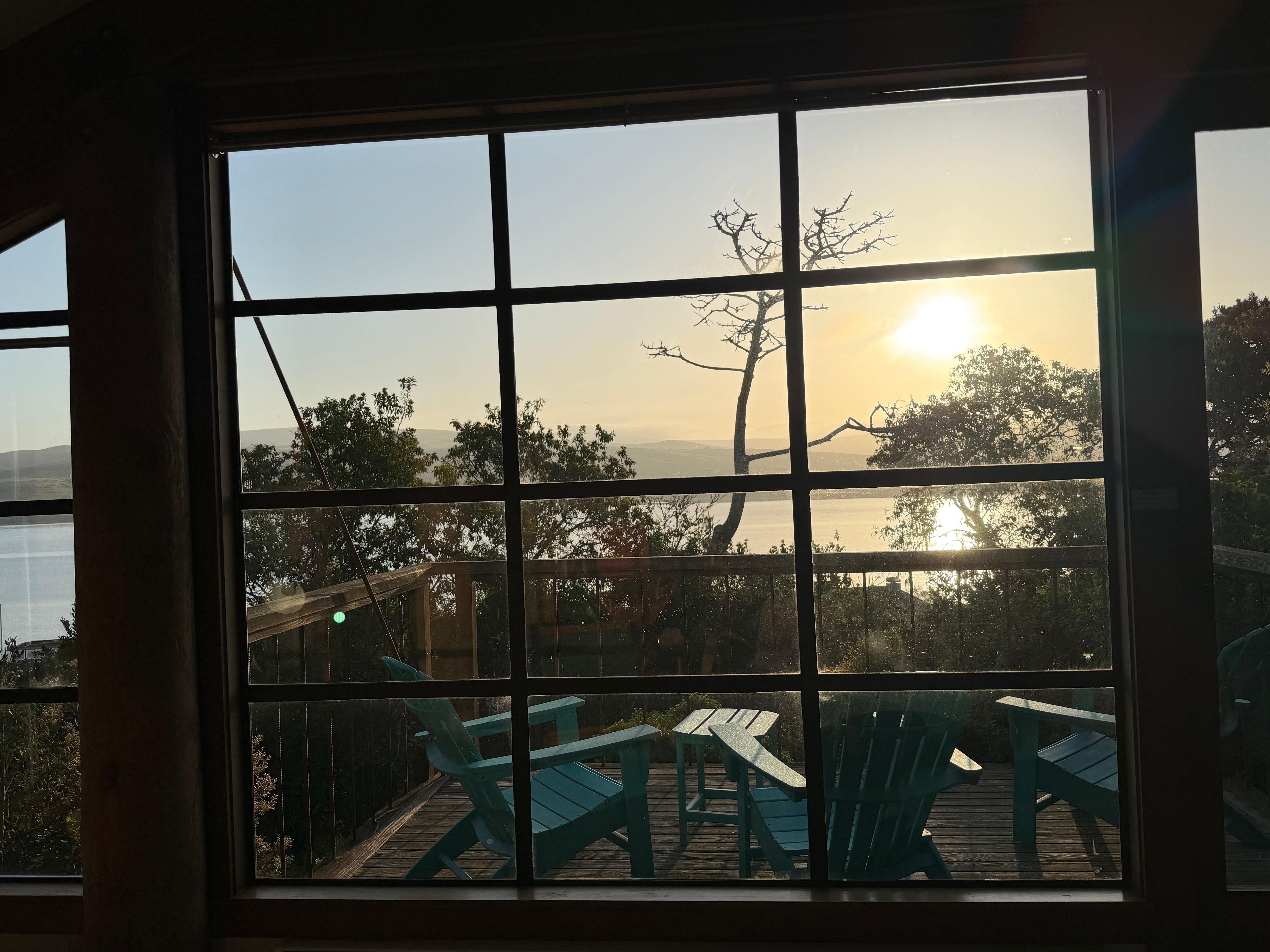 Morning view