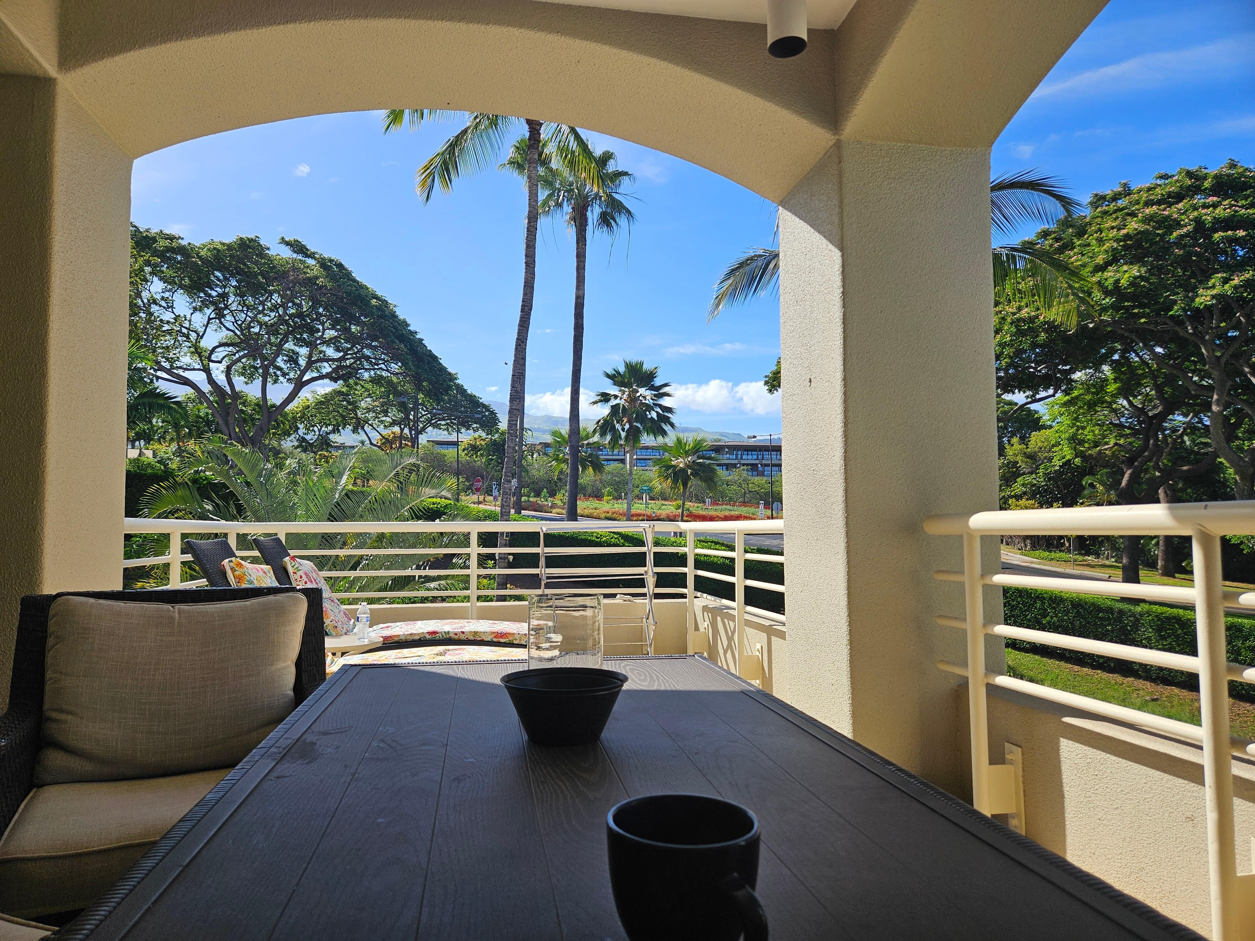 Lanai during day