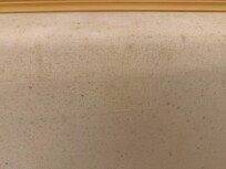 Mould on sofa