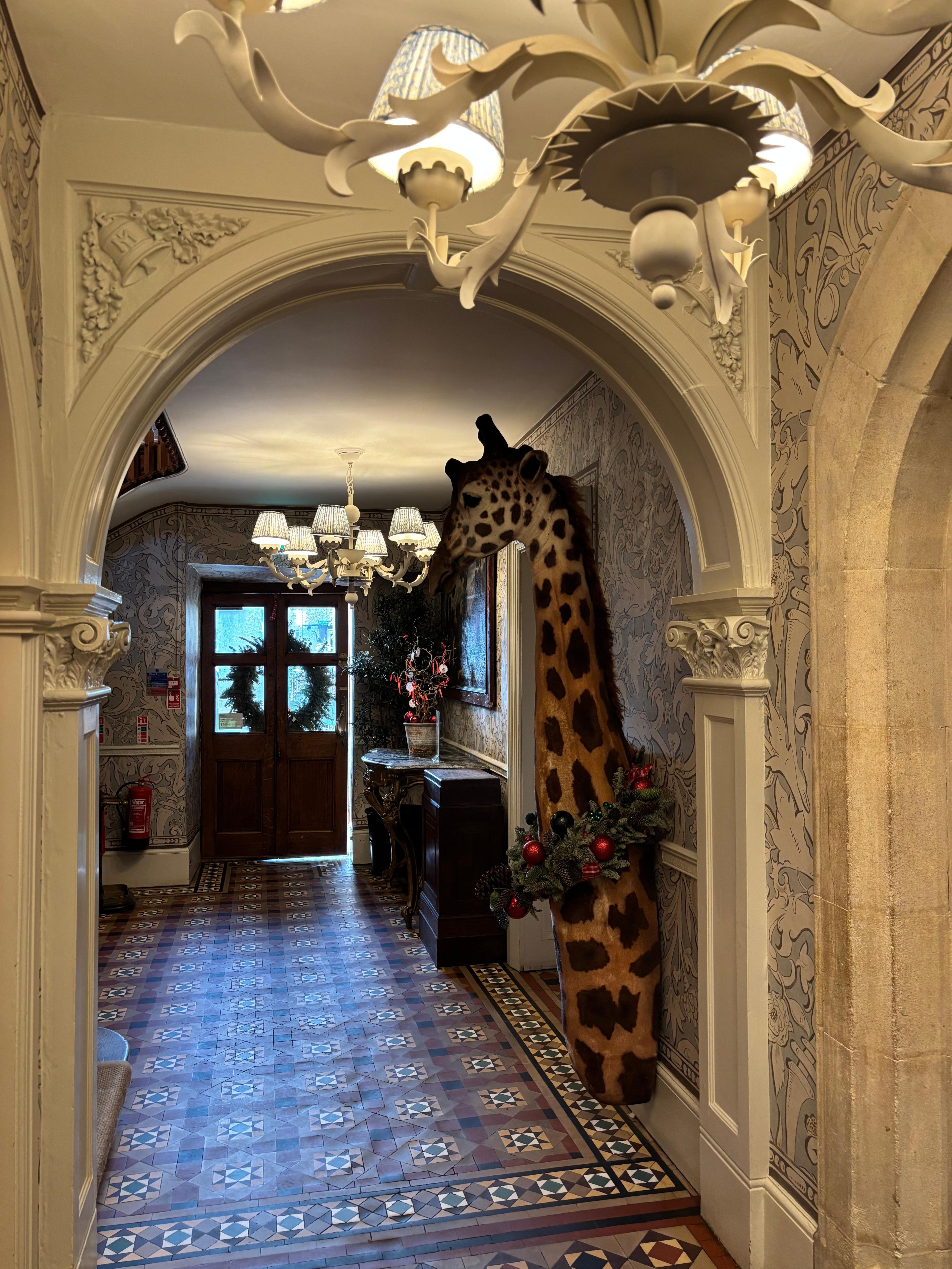 Giraffe on the loose 