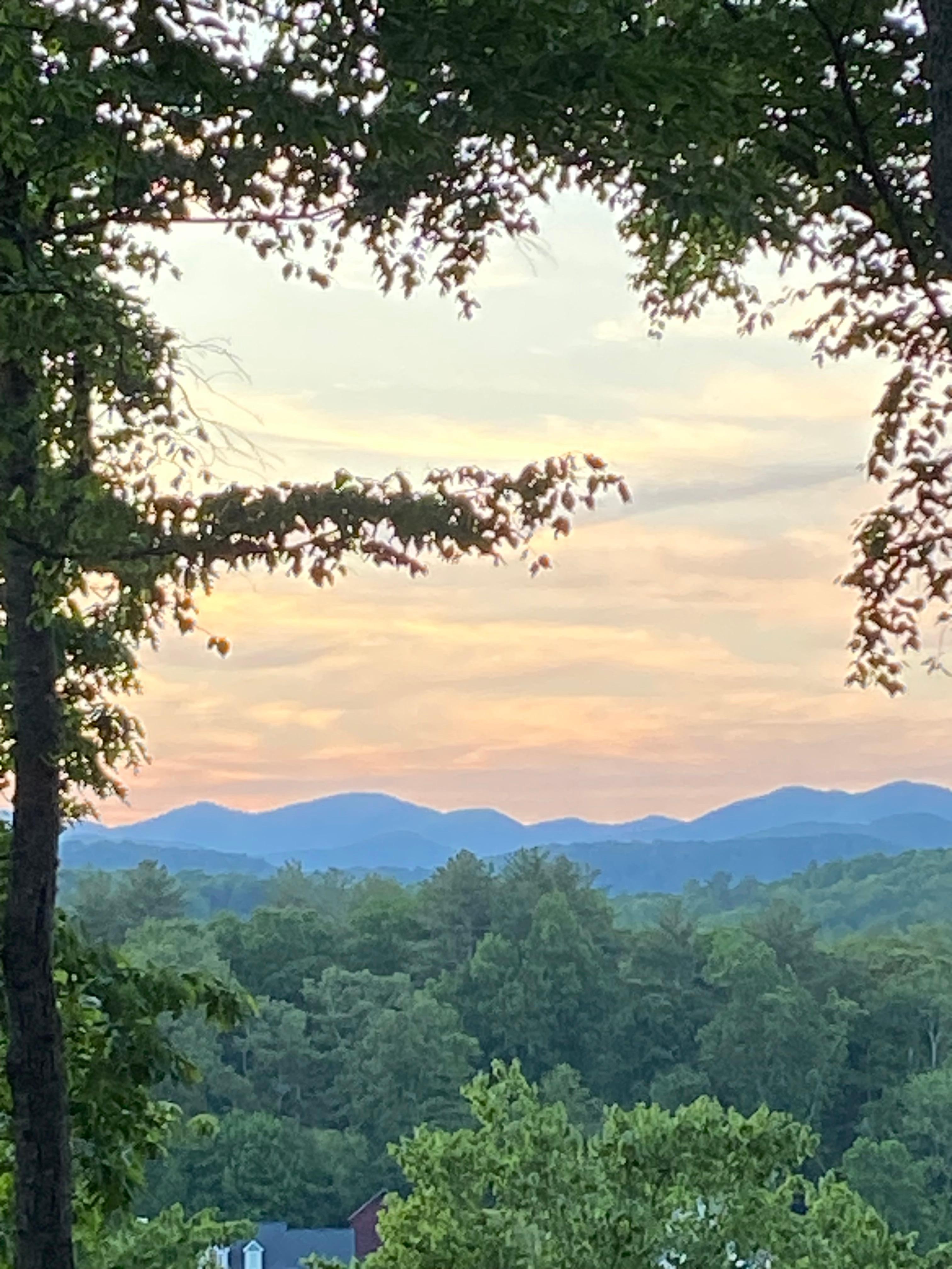 View from back deck!