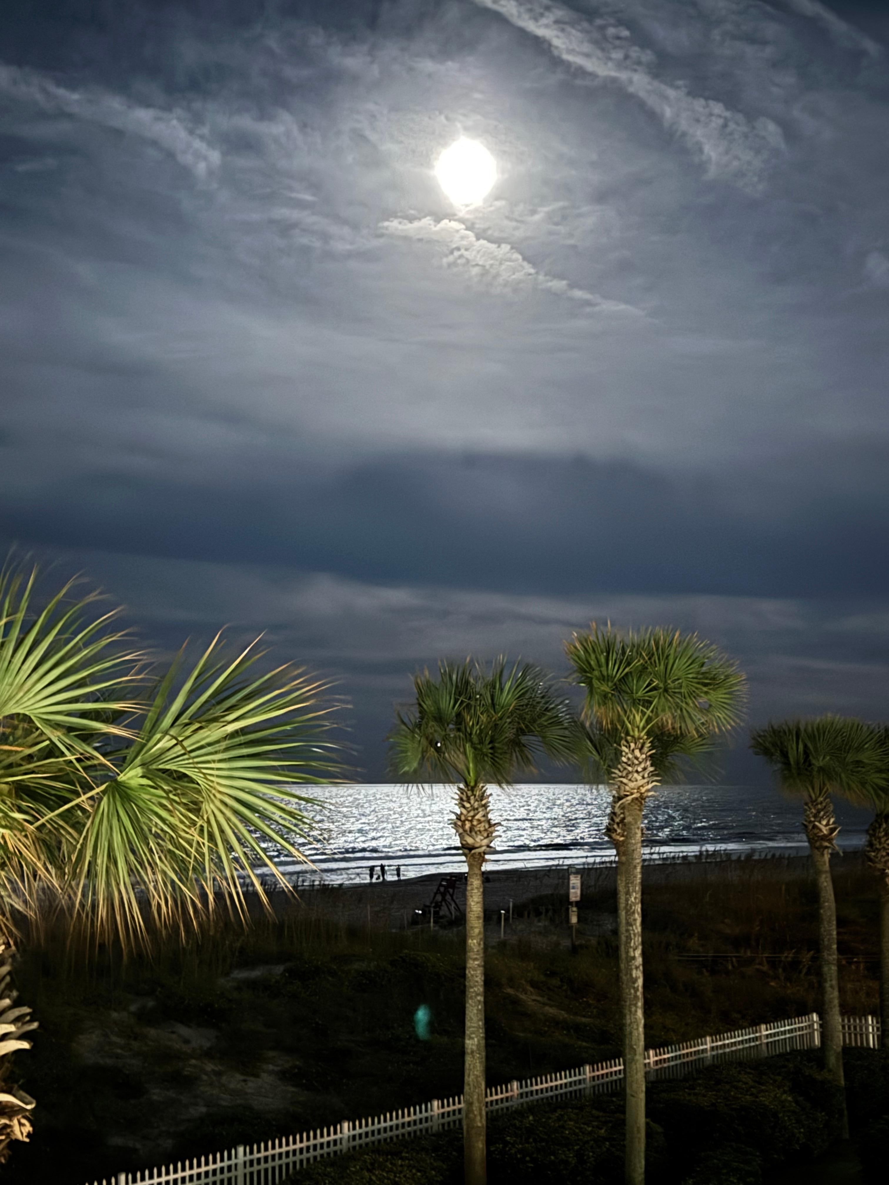 Moonlight from the Balcony