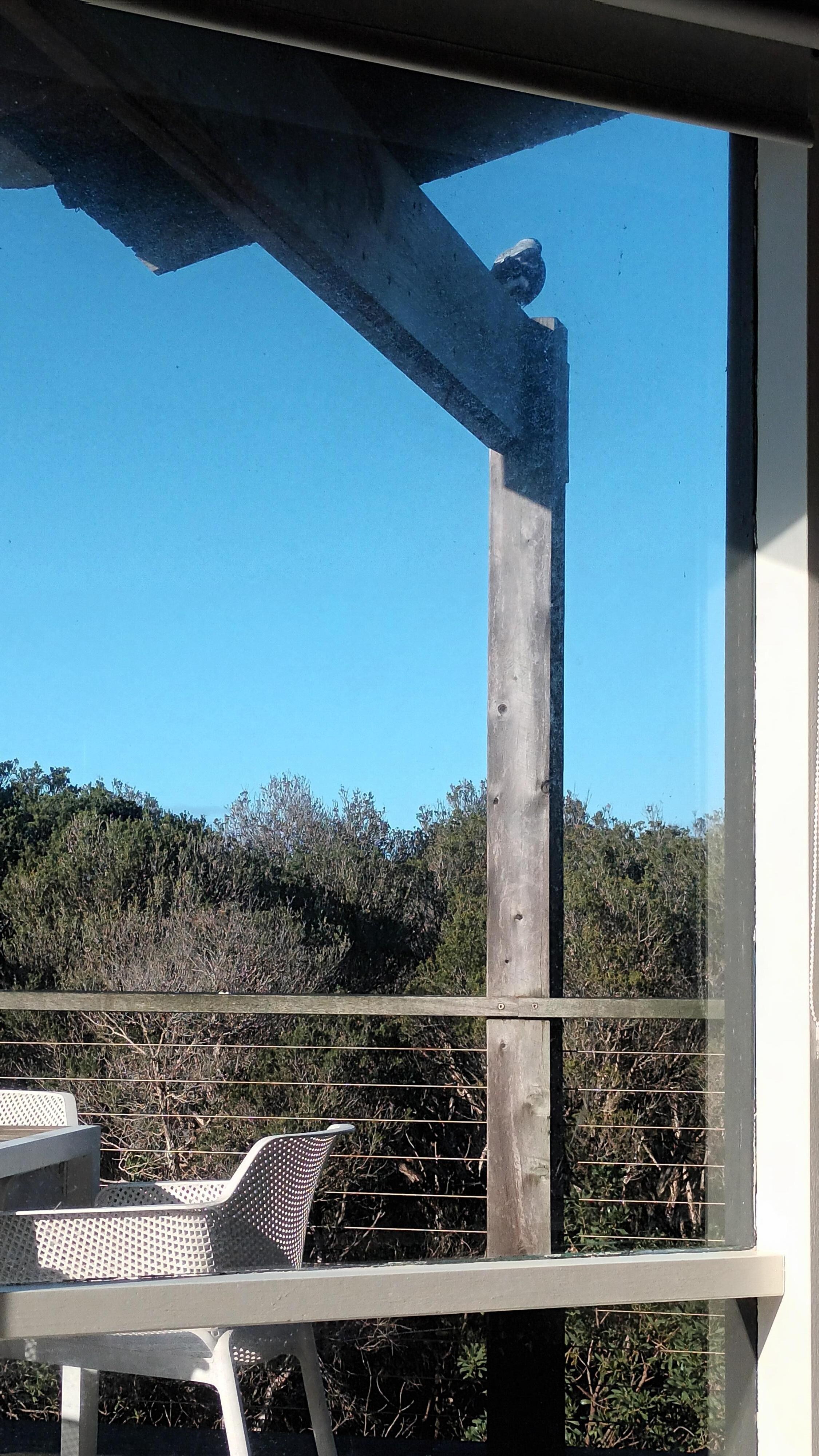 One of the locals who dropped by each morning 
