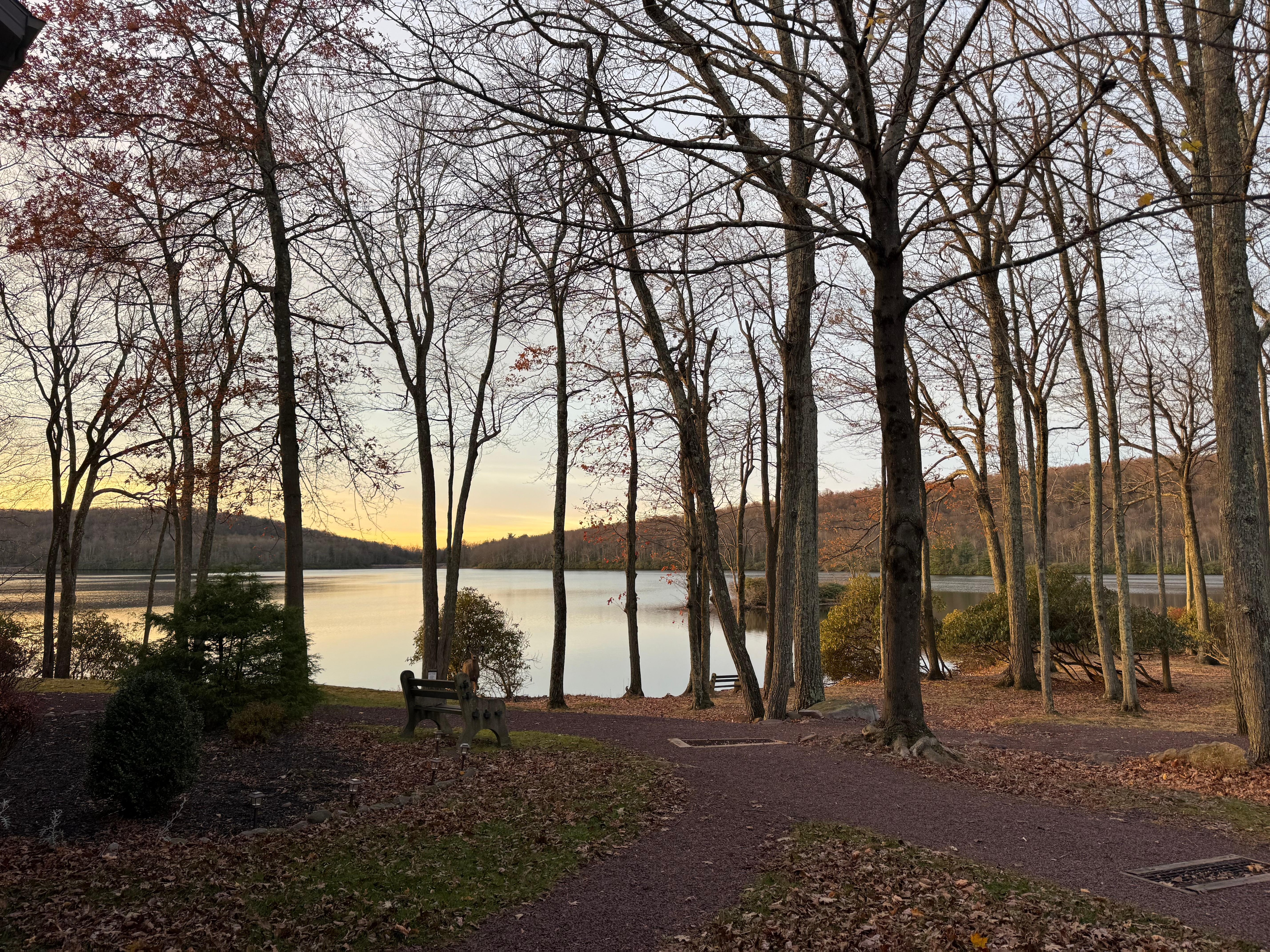 Sunrise view.  Zoom in to see the wildlife looking back!