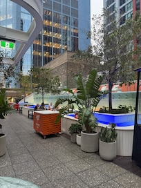 Harper’s bar