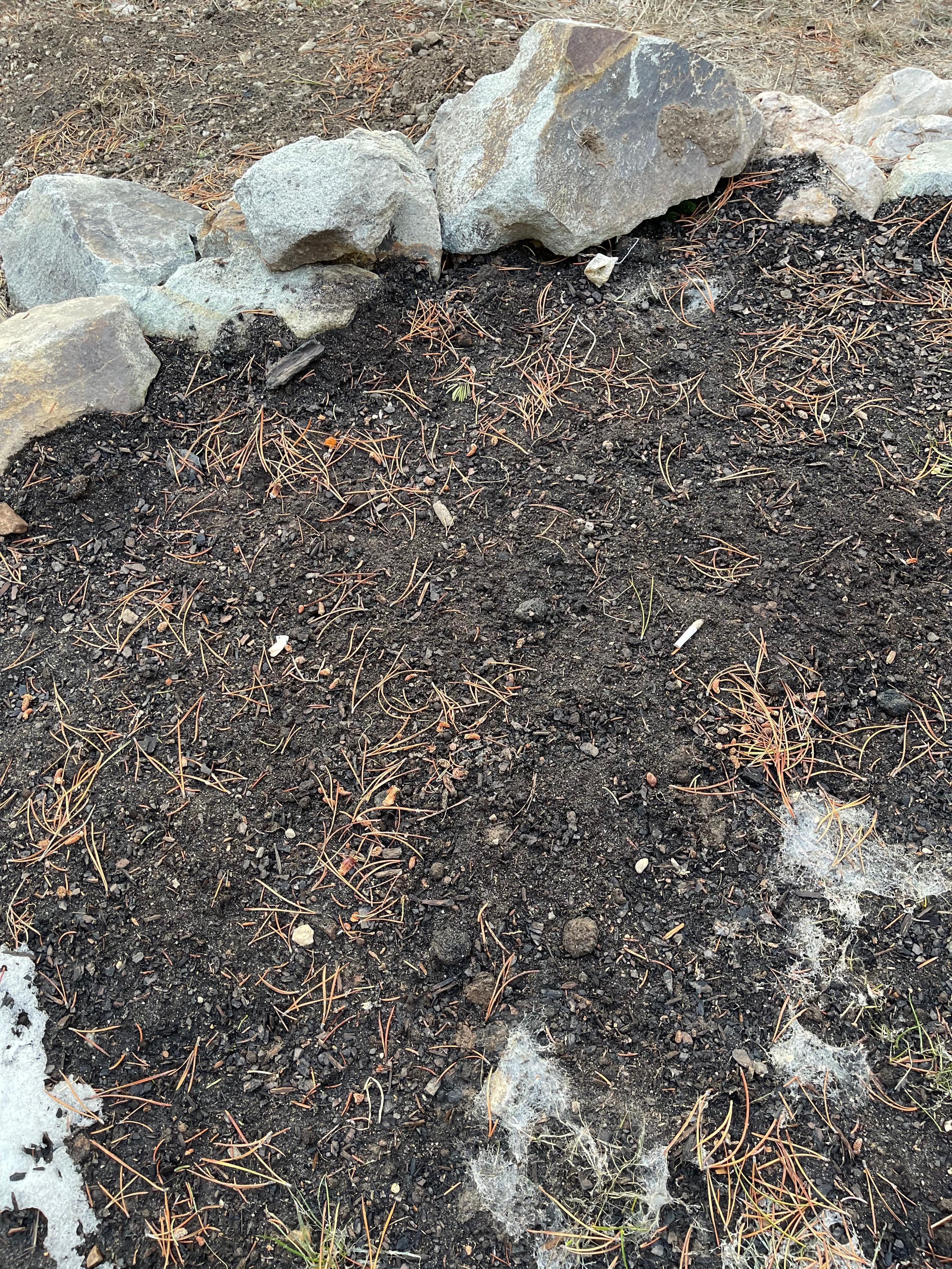 Cigarette butts/zen pouches littered by hot tub