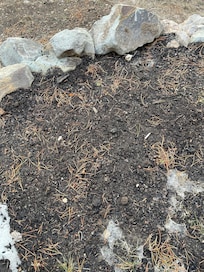Cigarette butts/zen pouches littered by hot tub