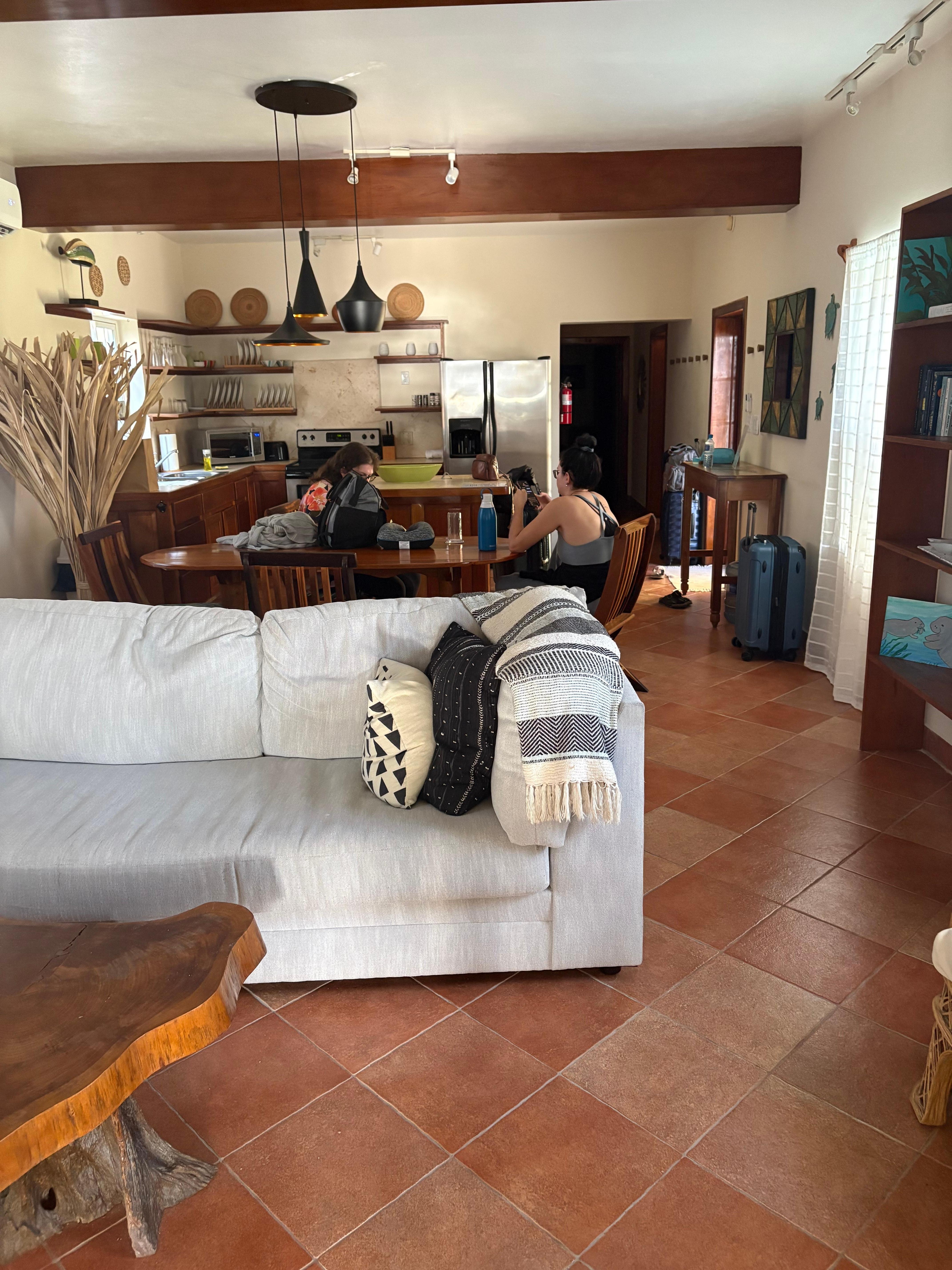 Living room and kitchen