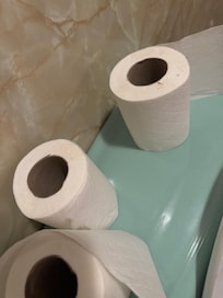 Crap on toilet paper