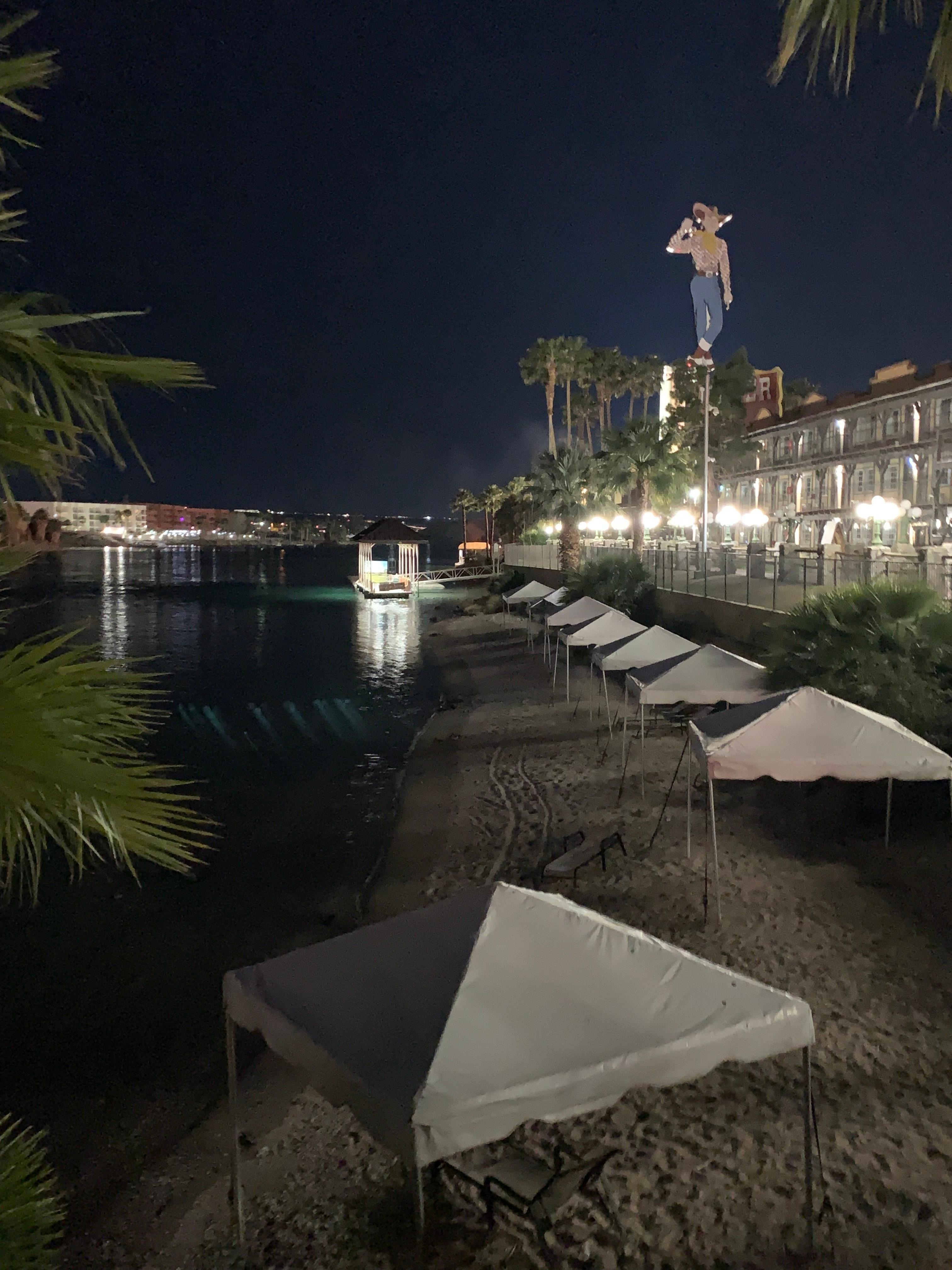 At night you might see raccoons.