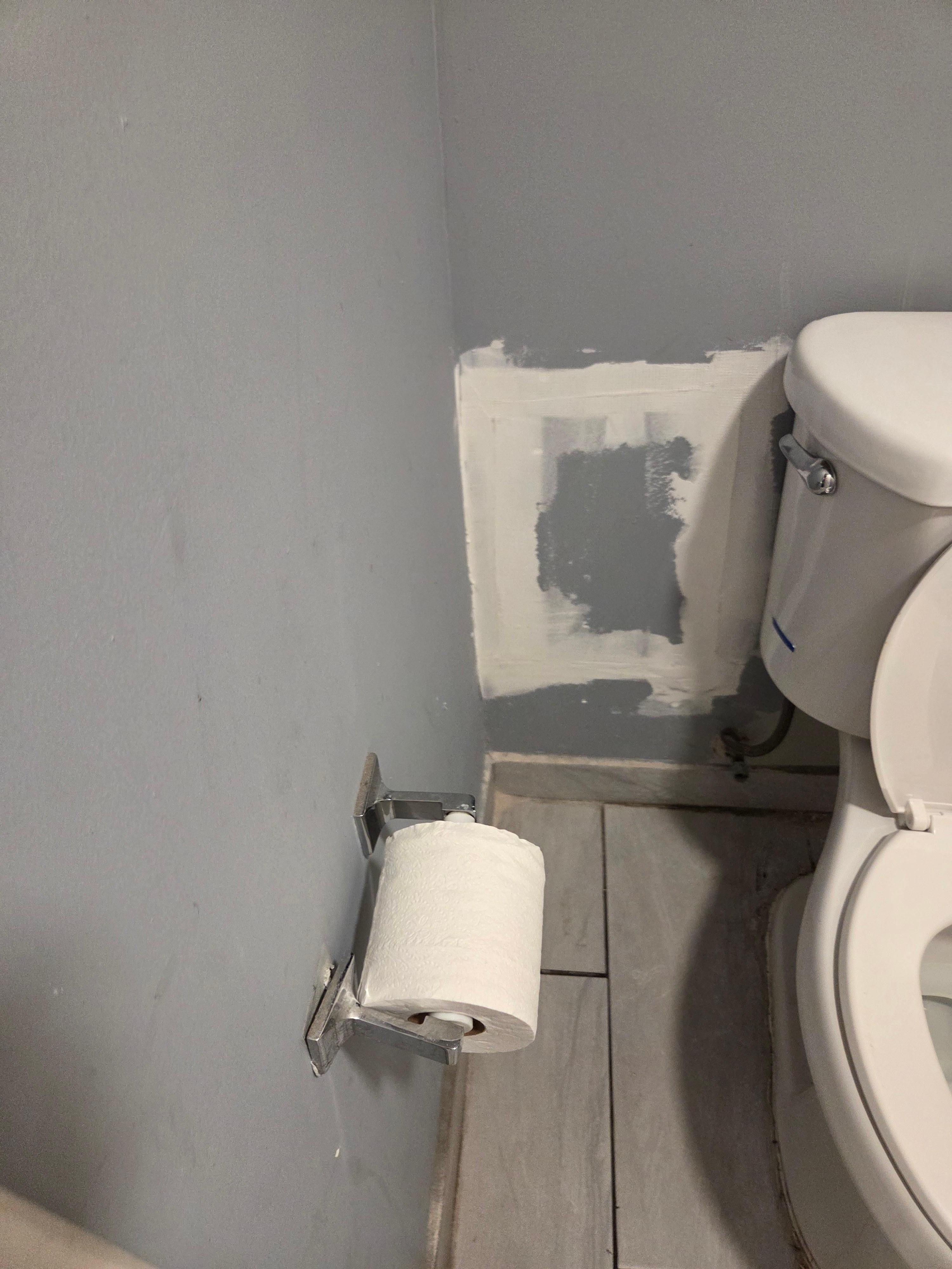 Dirty and damaged walls, TP barely hanging