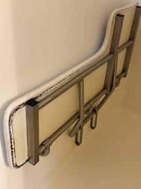 Mold in 2nd room on handicap shower bench.