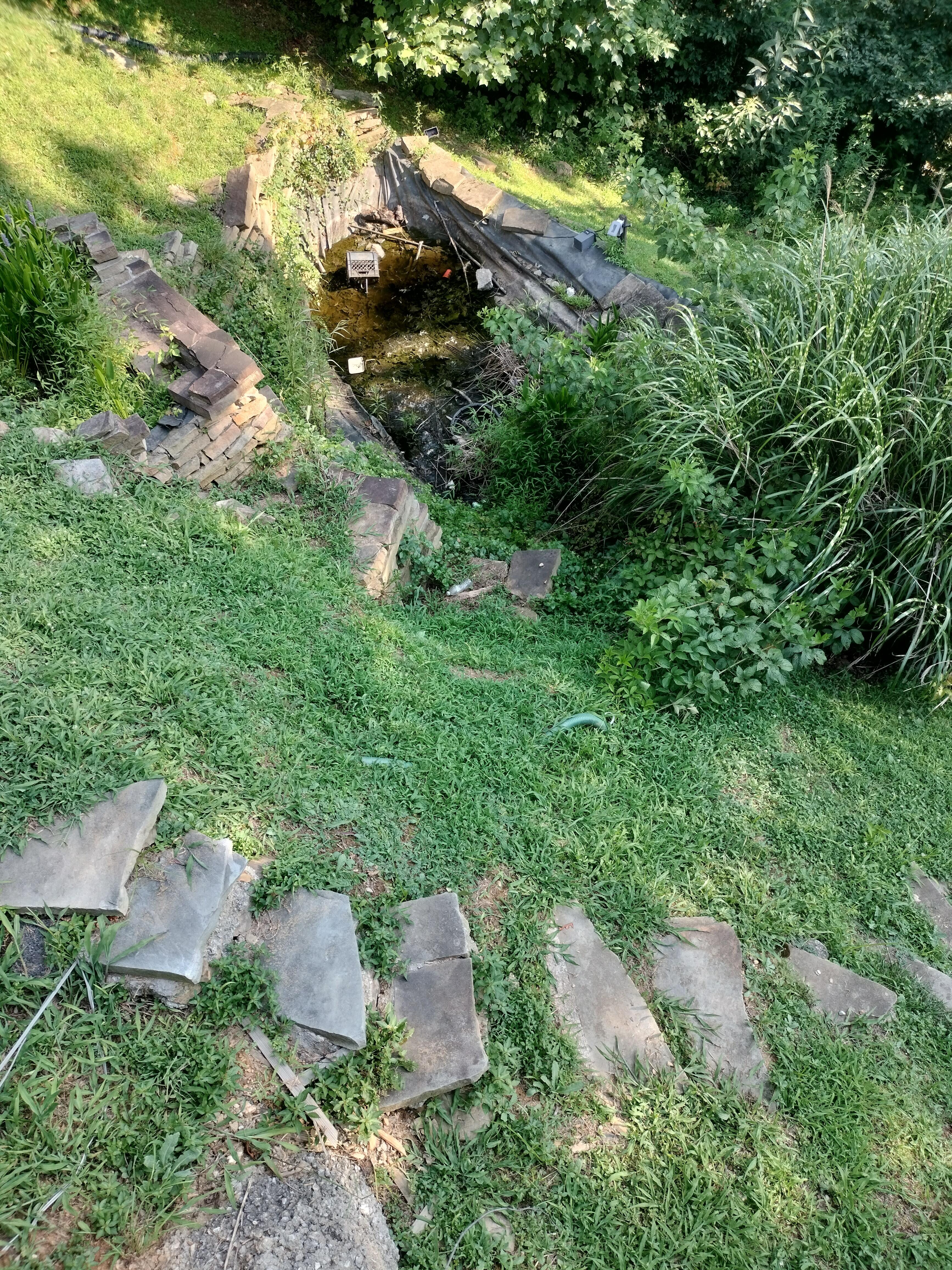 Outdoor area