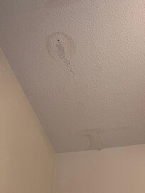 Active leak in the ceiling