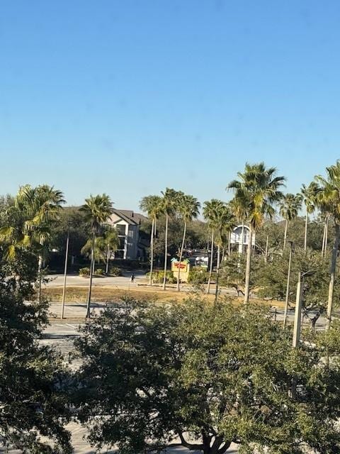 View from our room in front of hotel