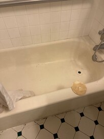 DIRTY tub with unusable, warped, stopper.