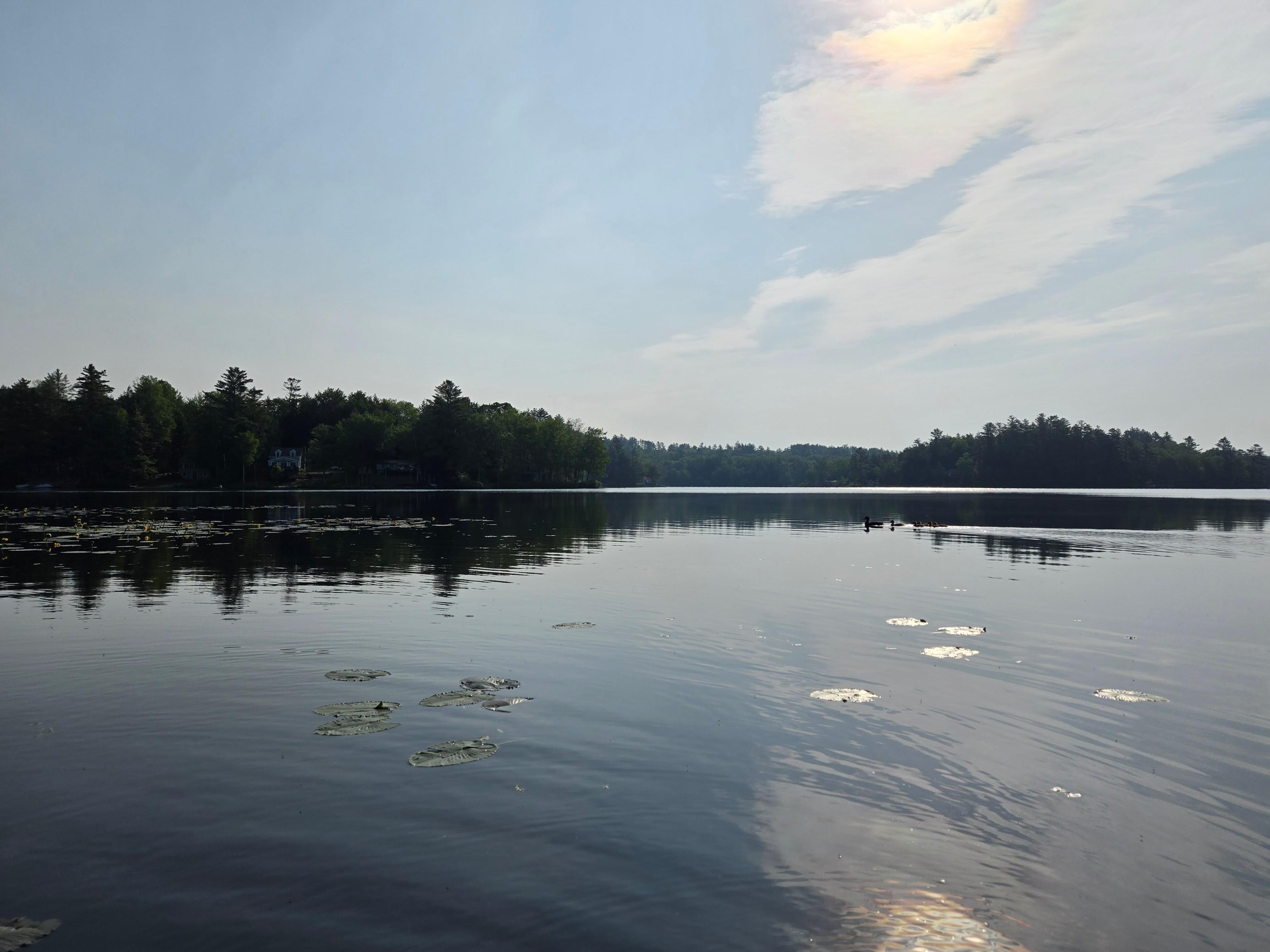 On a calm morning, the lake was lovely.