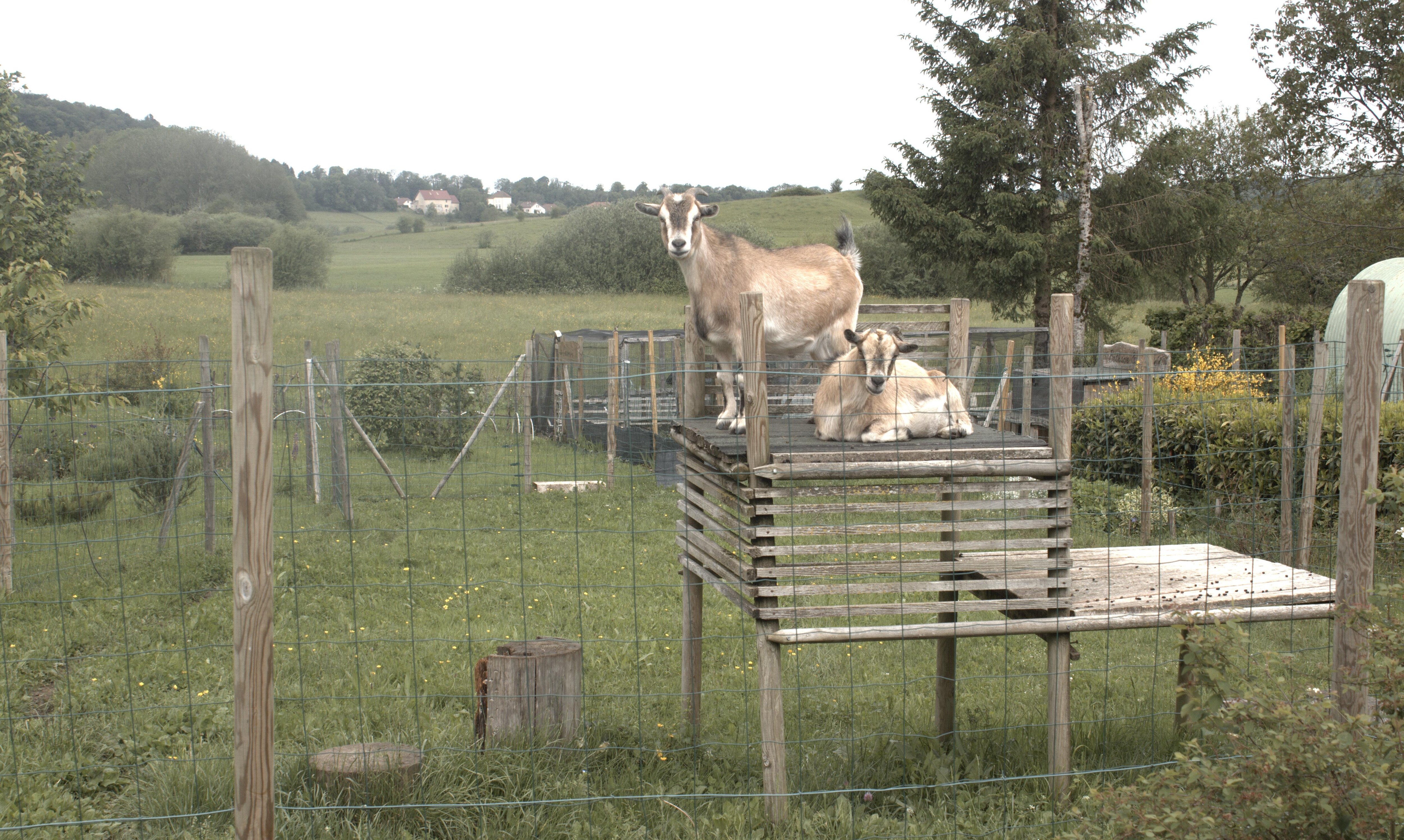 Dans le village .