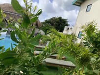 View from our suite of the large pool and cabana in the back.