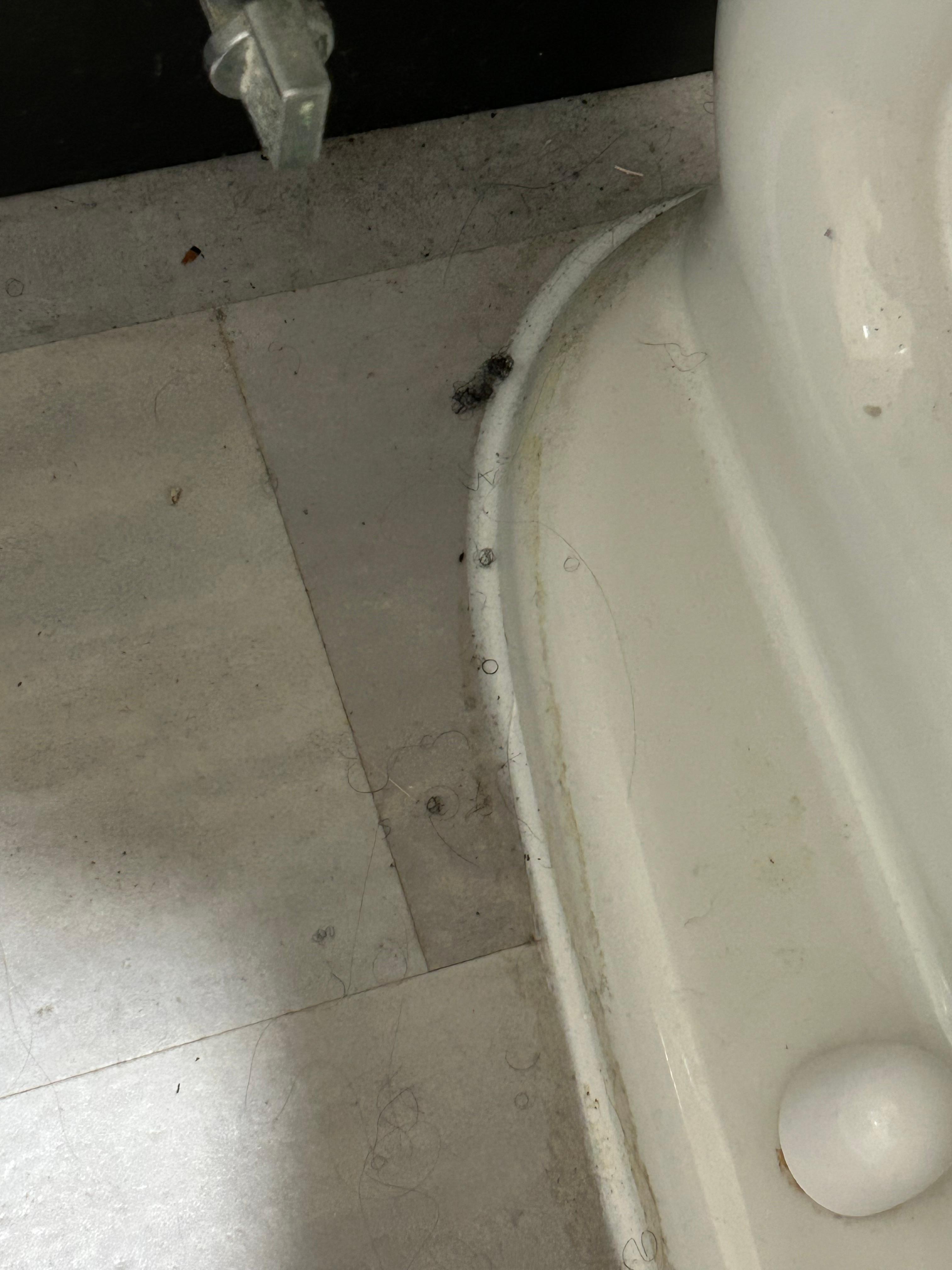 Dirt around toilet