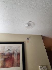 Fire alarm all covered up in plastic? I'm sure the state fire Marshall office probably should do a kindly visit