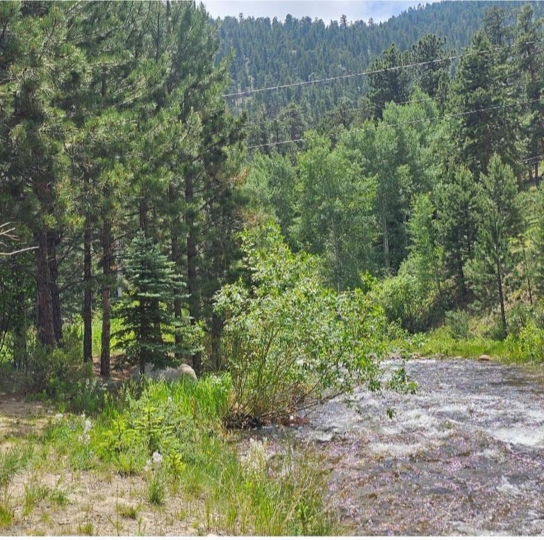 Stream next to cabin.