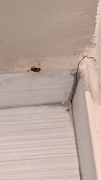 Corner wall by bathtub