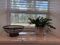 View from kitchen