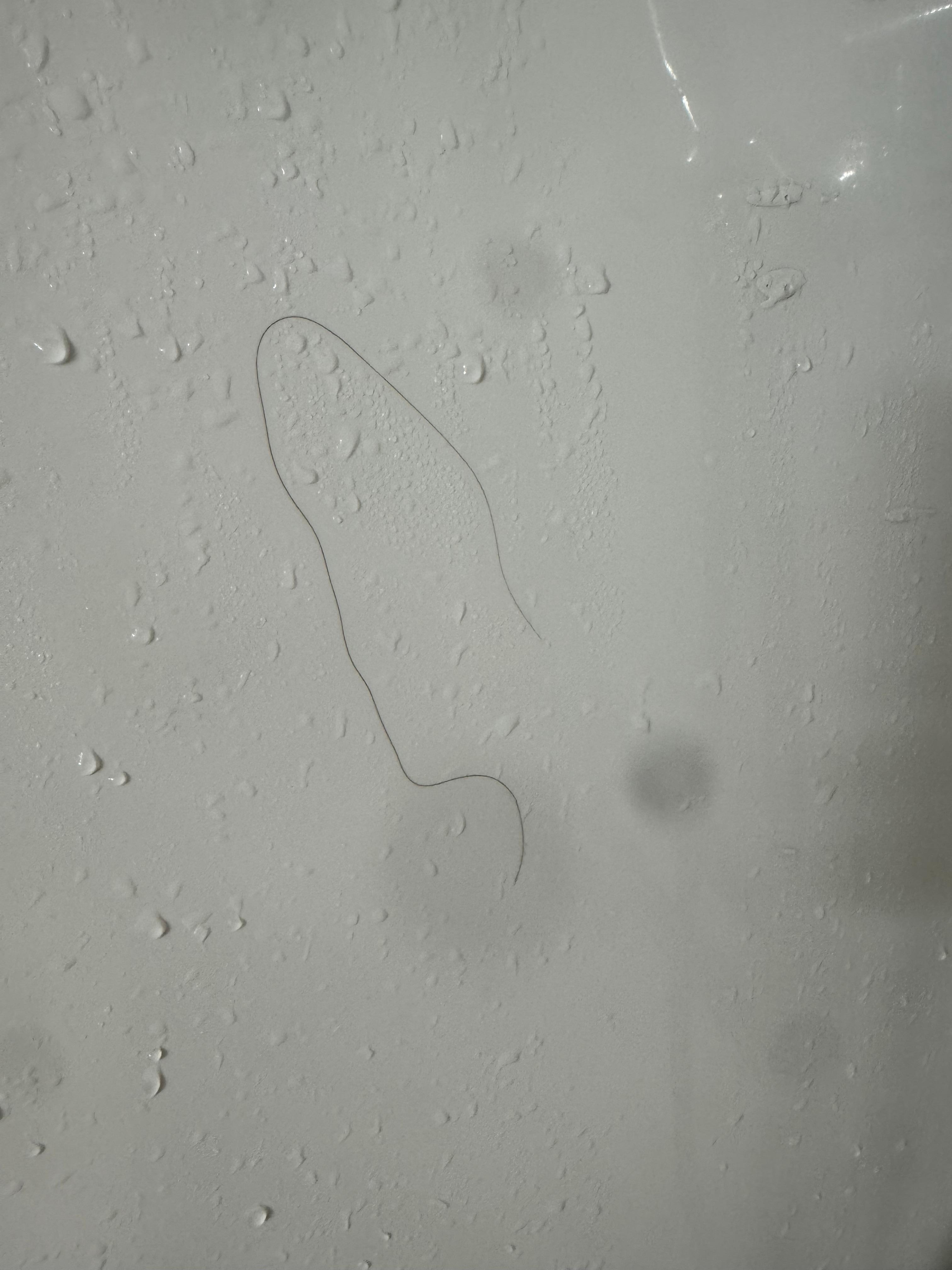 The stains on the sheet the first night. 