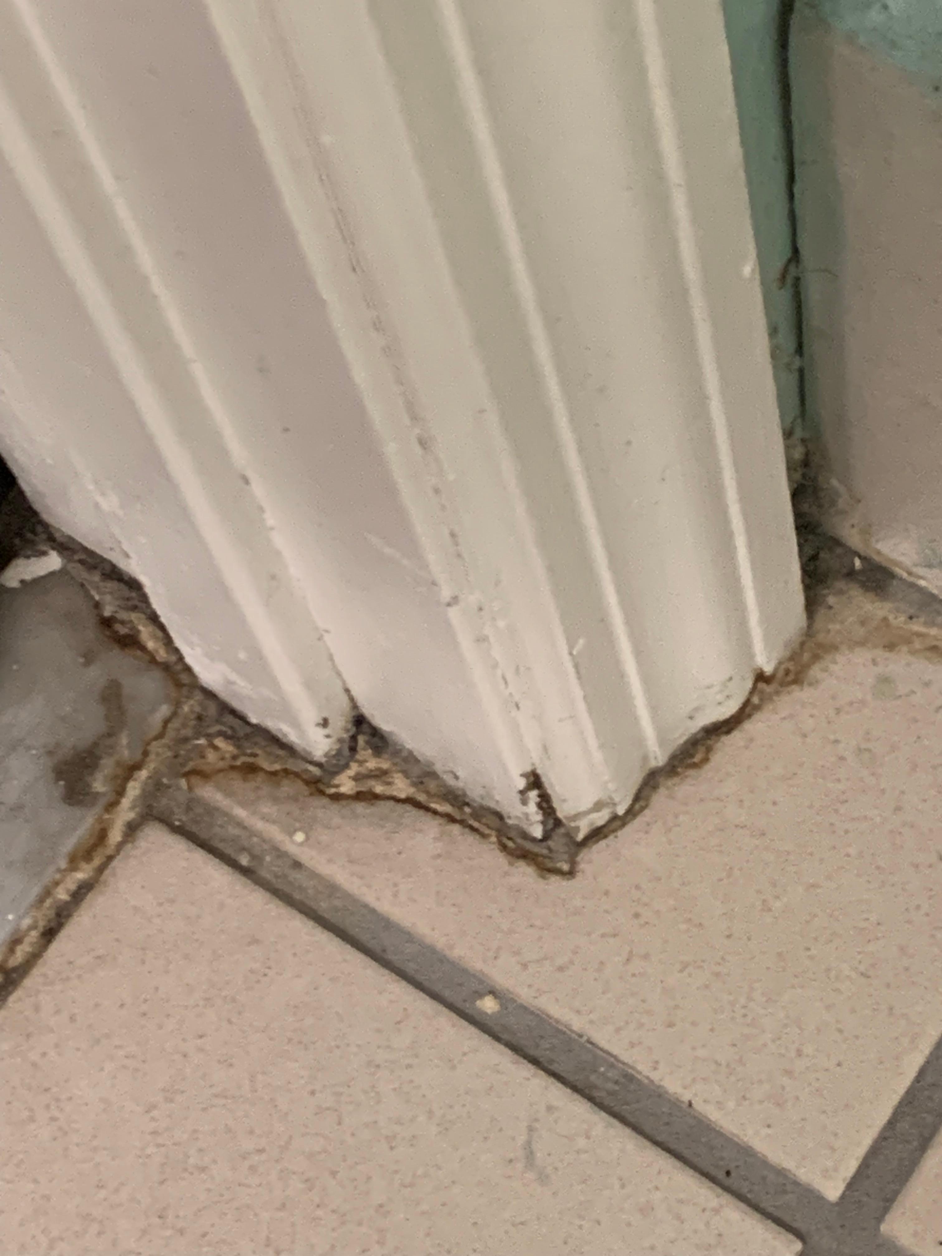Dirty and filthy floor- mildew in corners.